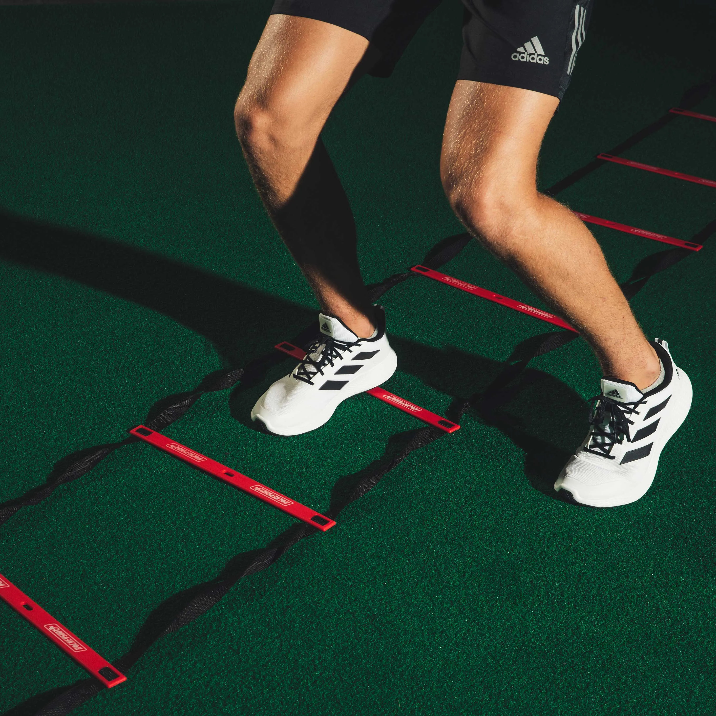 Agility Ladder