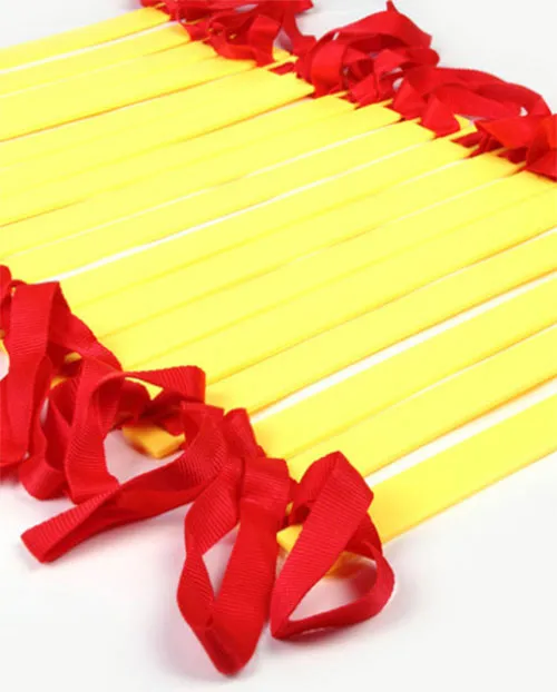 Cross fit Agility Ladder 6-10 m (FE057)