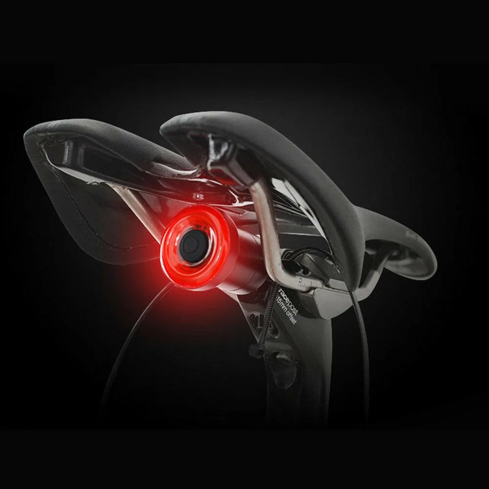 Intelligent Bike Tail Light USB Rechargeable Light Control Brake Rear Lamp Cycling Accessories