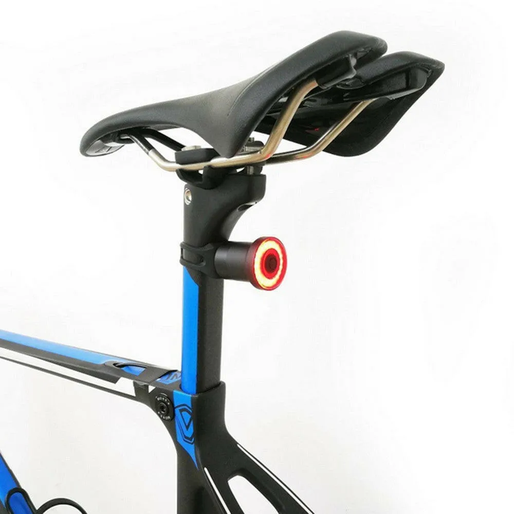 Intelligent Bike Tail Light USB Rechargeable Light Control Brake Rear Lamp Cycling Accessories