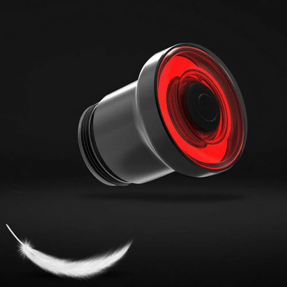 Intelligent Bike Tail Light USB Rechargeable Light Control Brake Rear Lamp Cycling Accessories