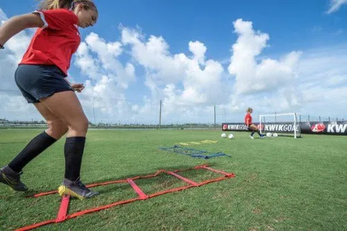 Kwik Goal Mini Ladder