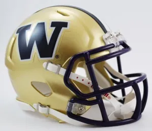 WASHINGTON HUSKIES NCAA Riddell Revolution SPEED Mini Football Helmet